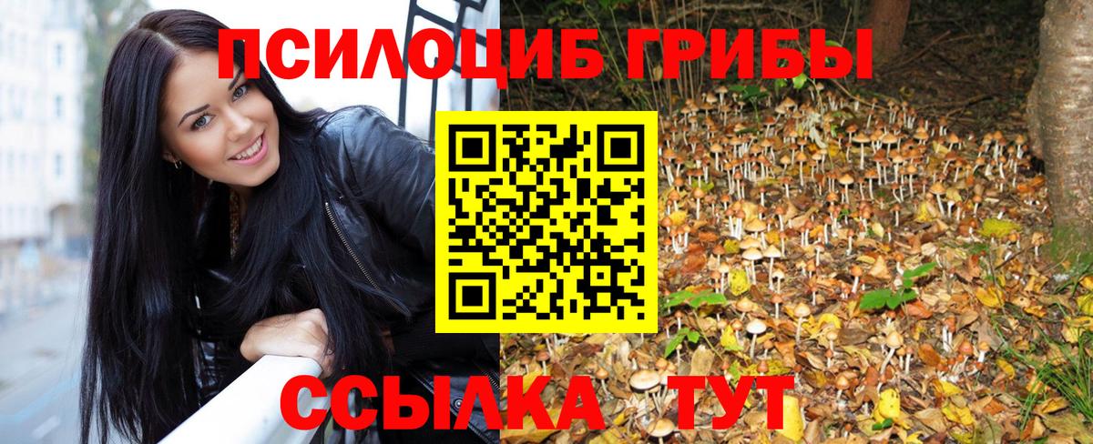 Сафоново  Галлюциногенные грибы Cubensis  Вход с VPN 
